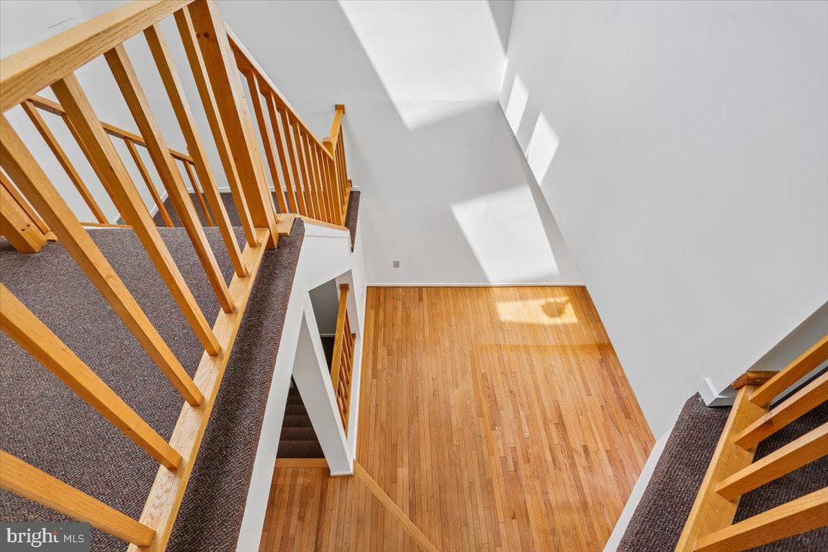 10719 Gloxinia Drive photo 13