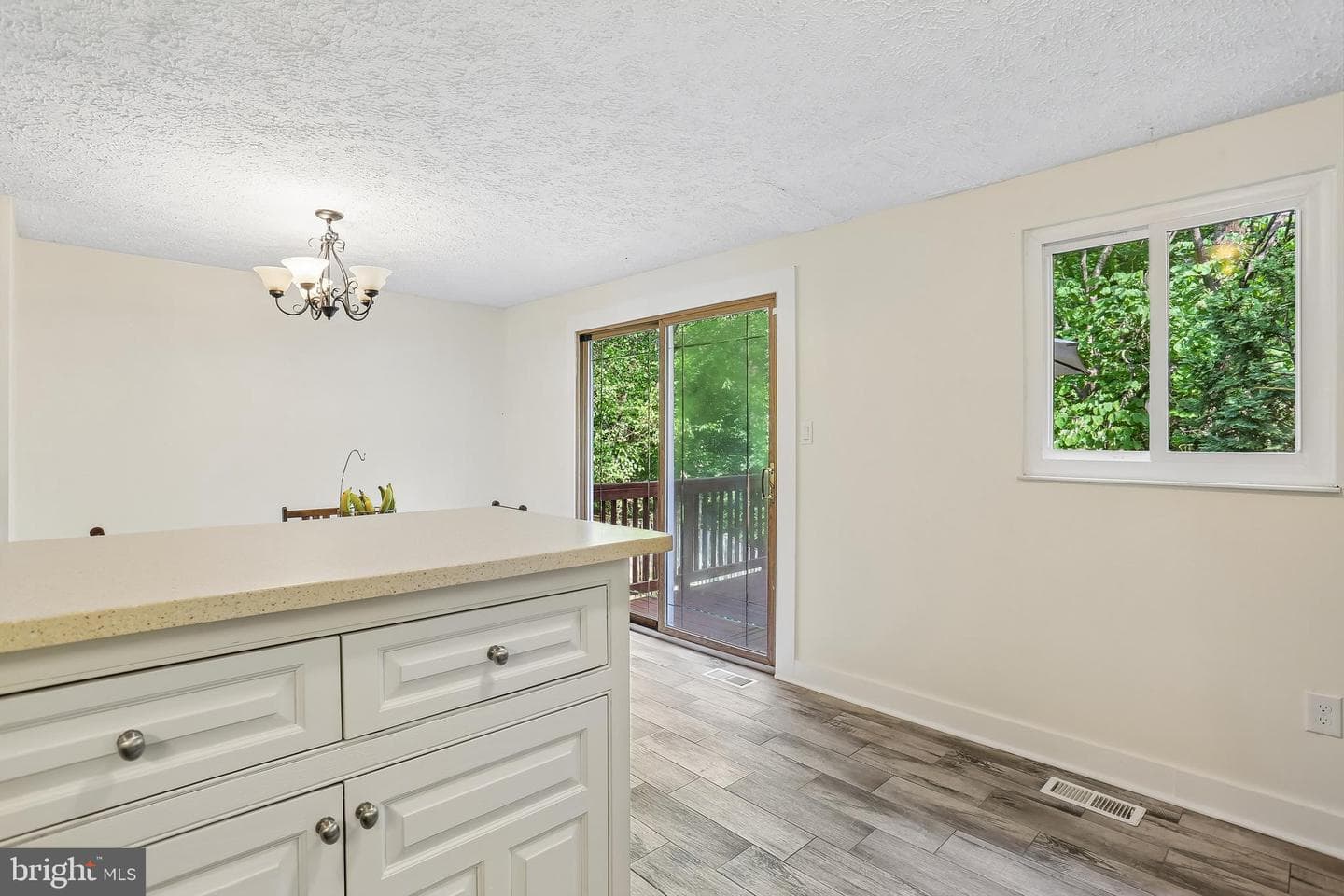 10508 Apple Ridge Road photo 10