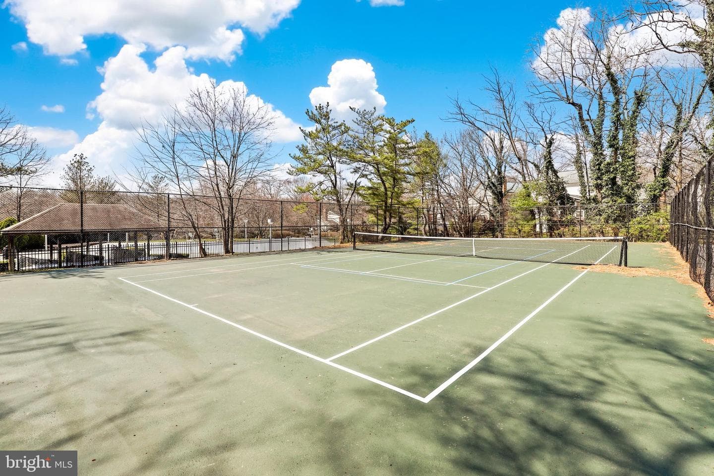 12917 Alderleaf Drive photo 47