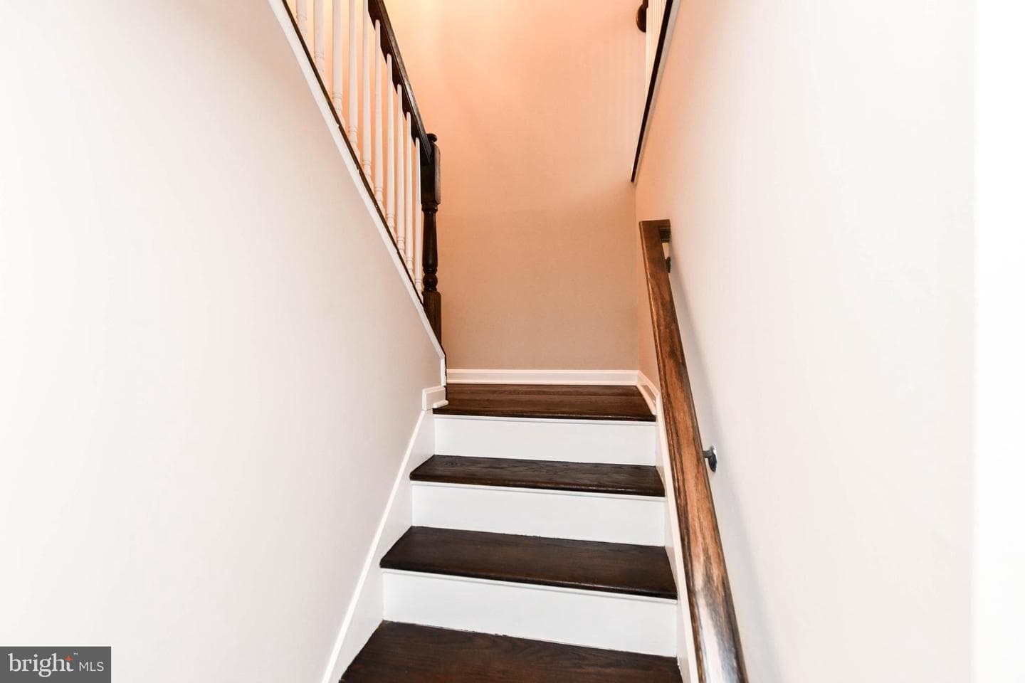 19104 Roman Way photo 49