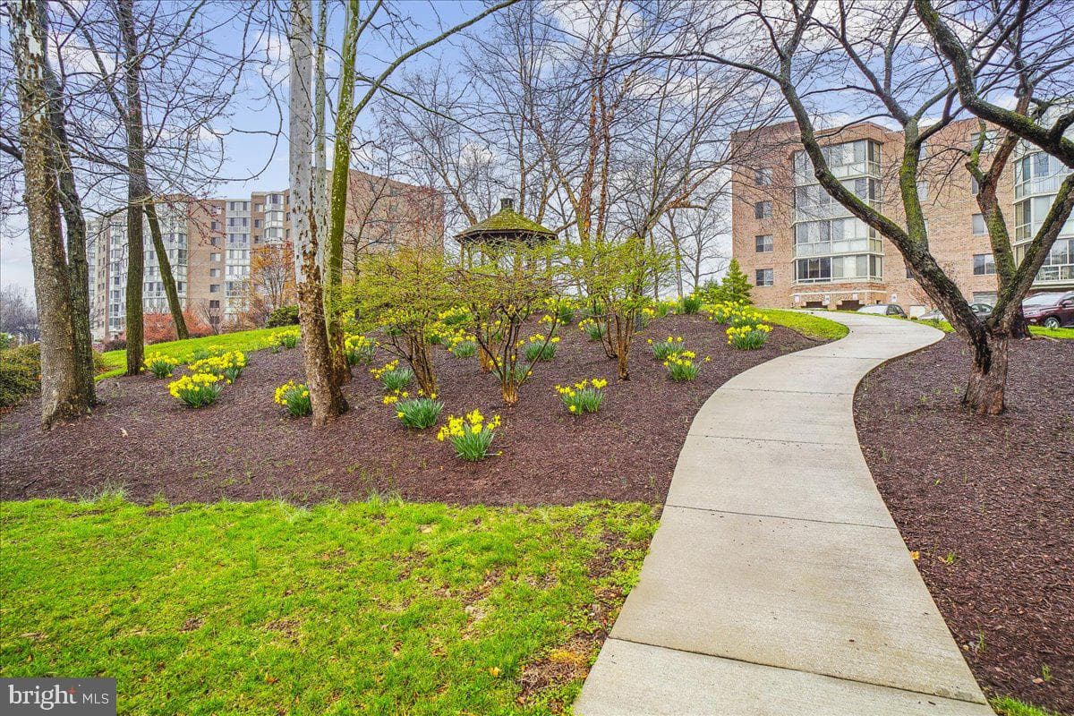 3005 S Leisure World Blvd # 706 photo 35