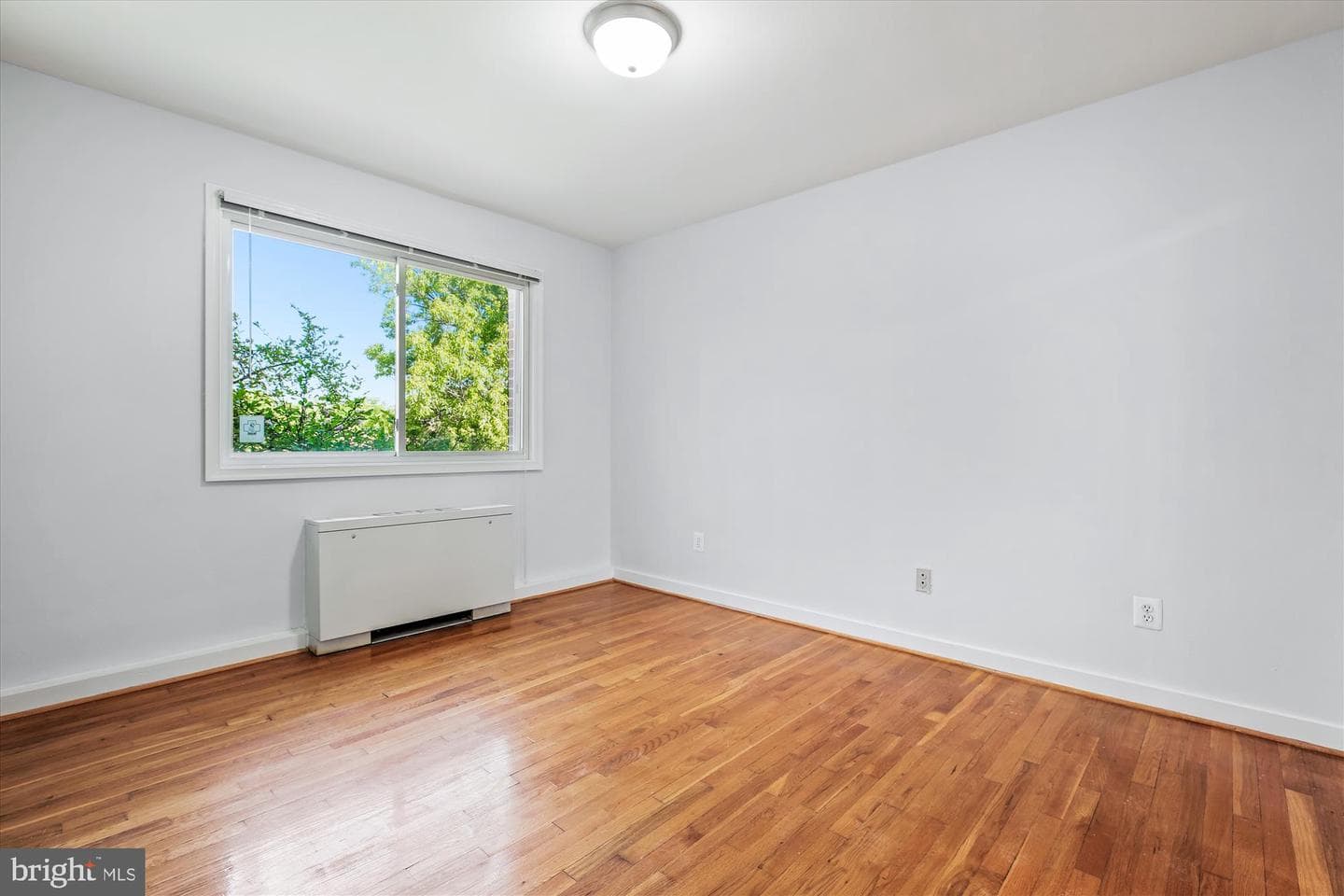 116 Lee Avenue #303 photo 5