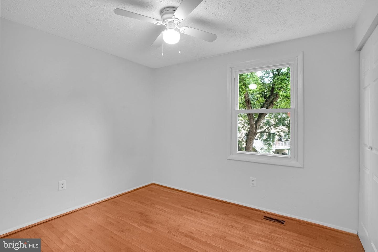 8604 Calypso Lane photo 18