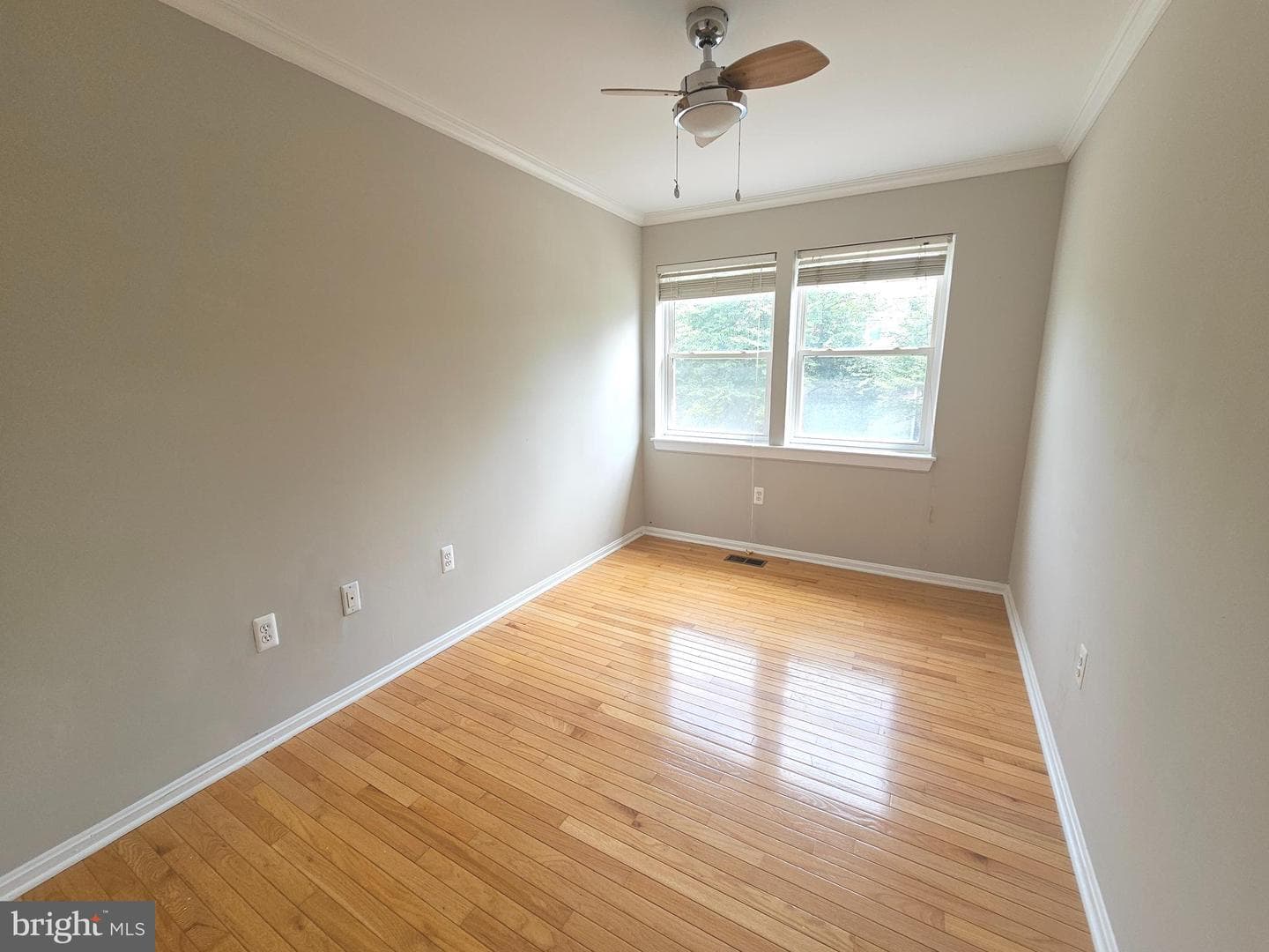 11902 Foal Lane photo 12