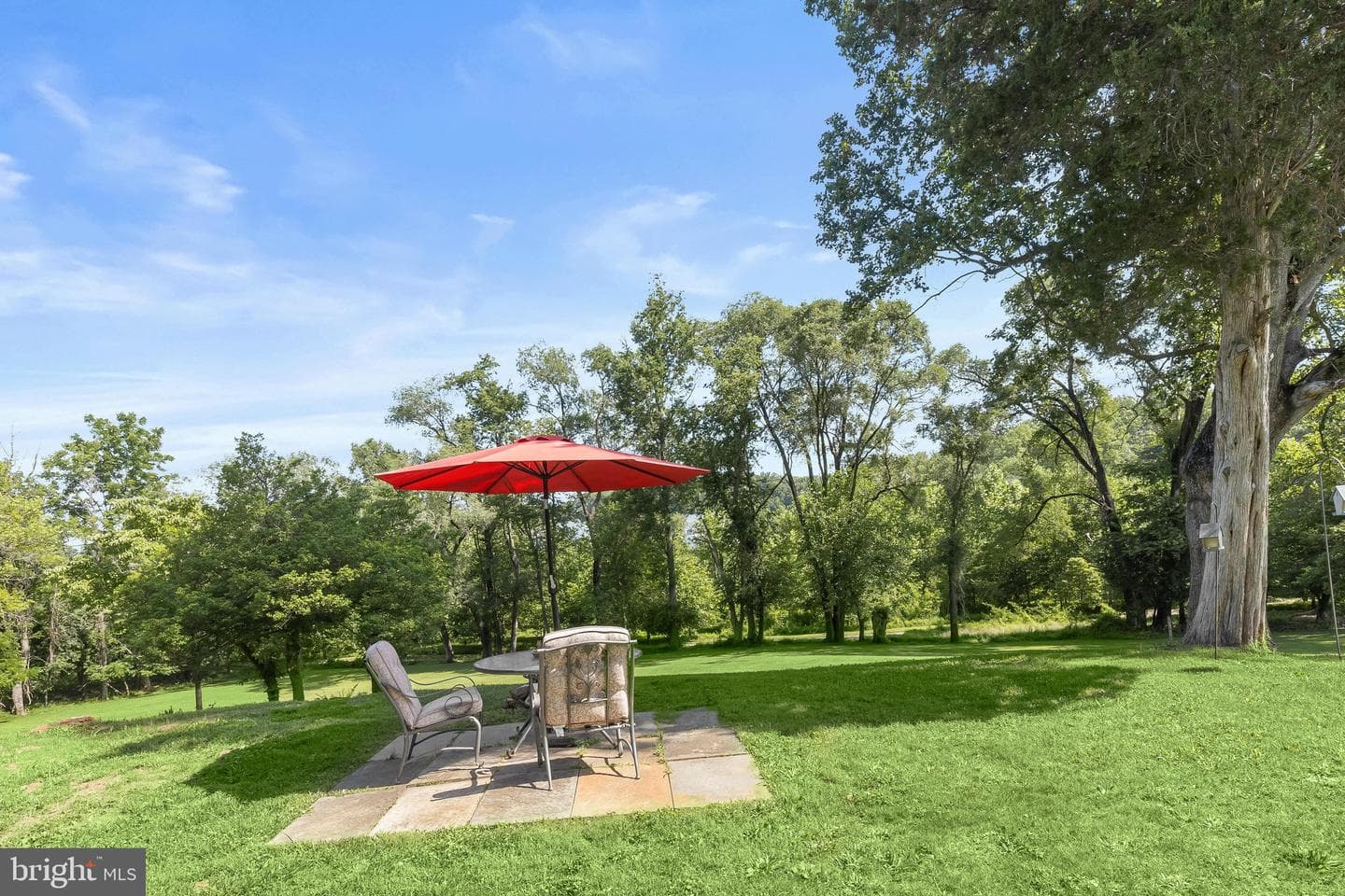16510 Batchellors Forest Road photo 52