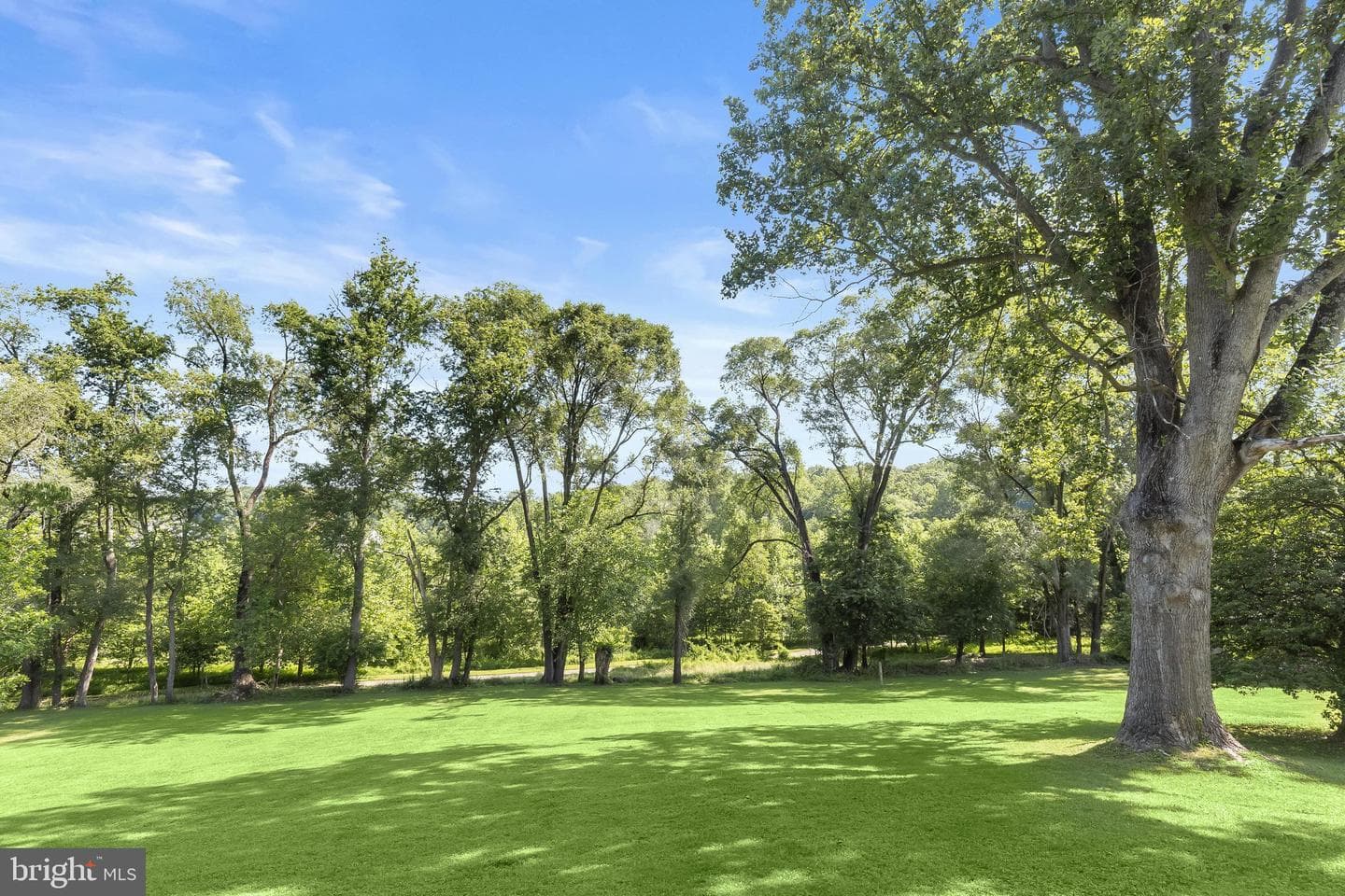 16510 Batchellors Forest Road photo 65