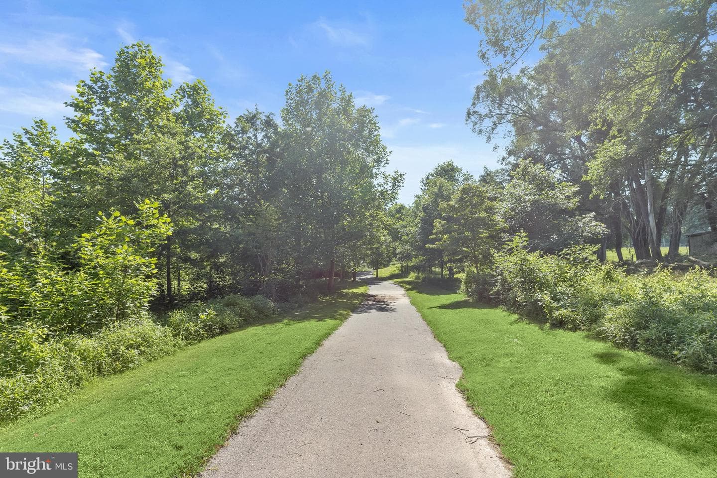 16510 Batchellors Forest Road photo 87