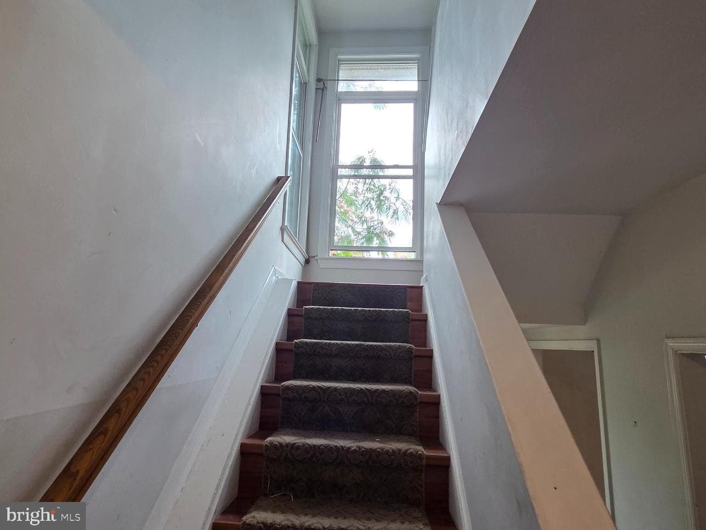 1110 Arcola Avenue photo 10