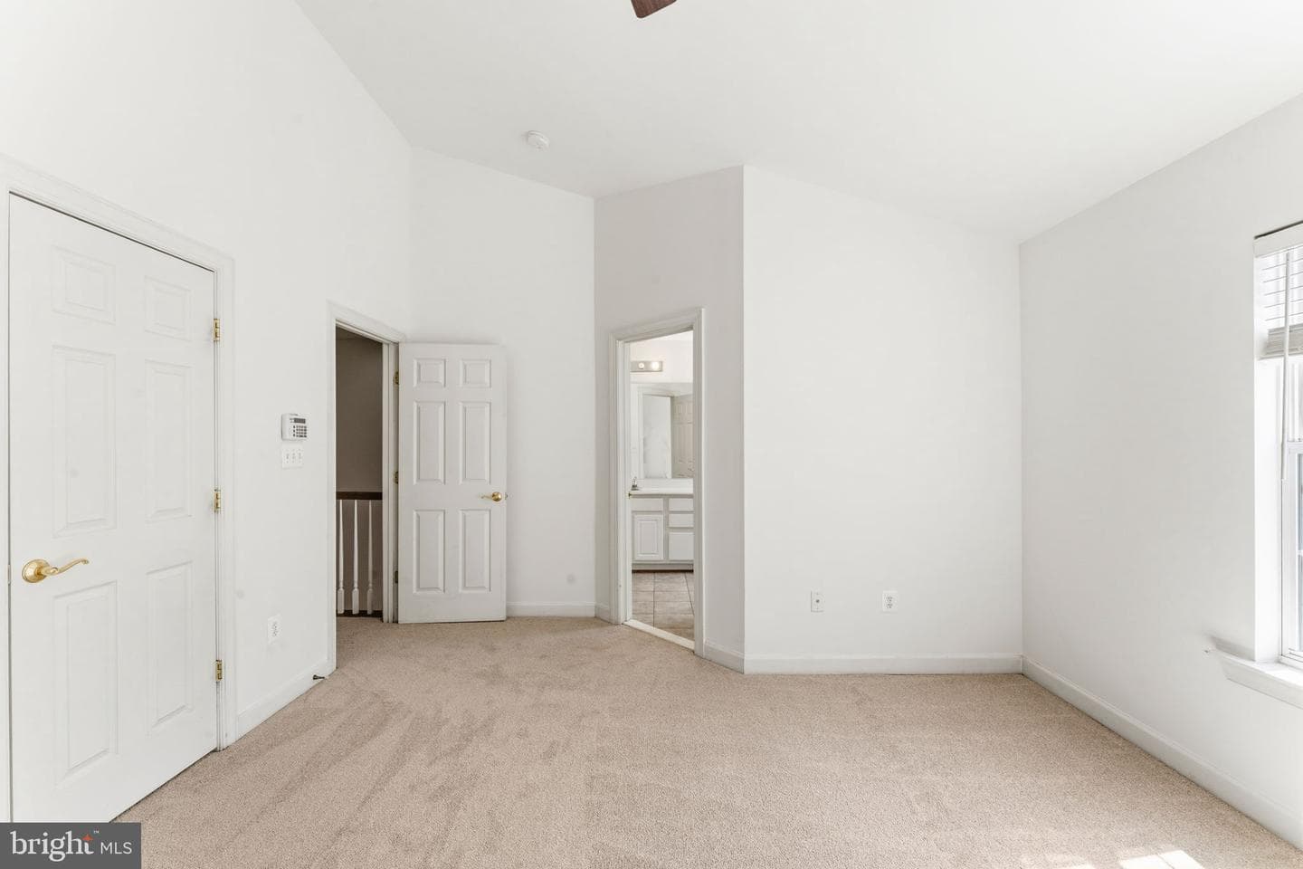 3903 Madison Park Lane photo 21