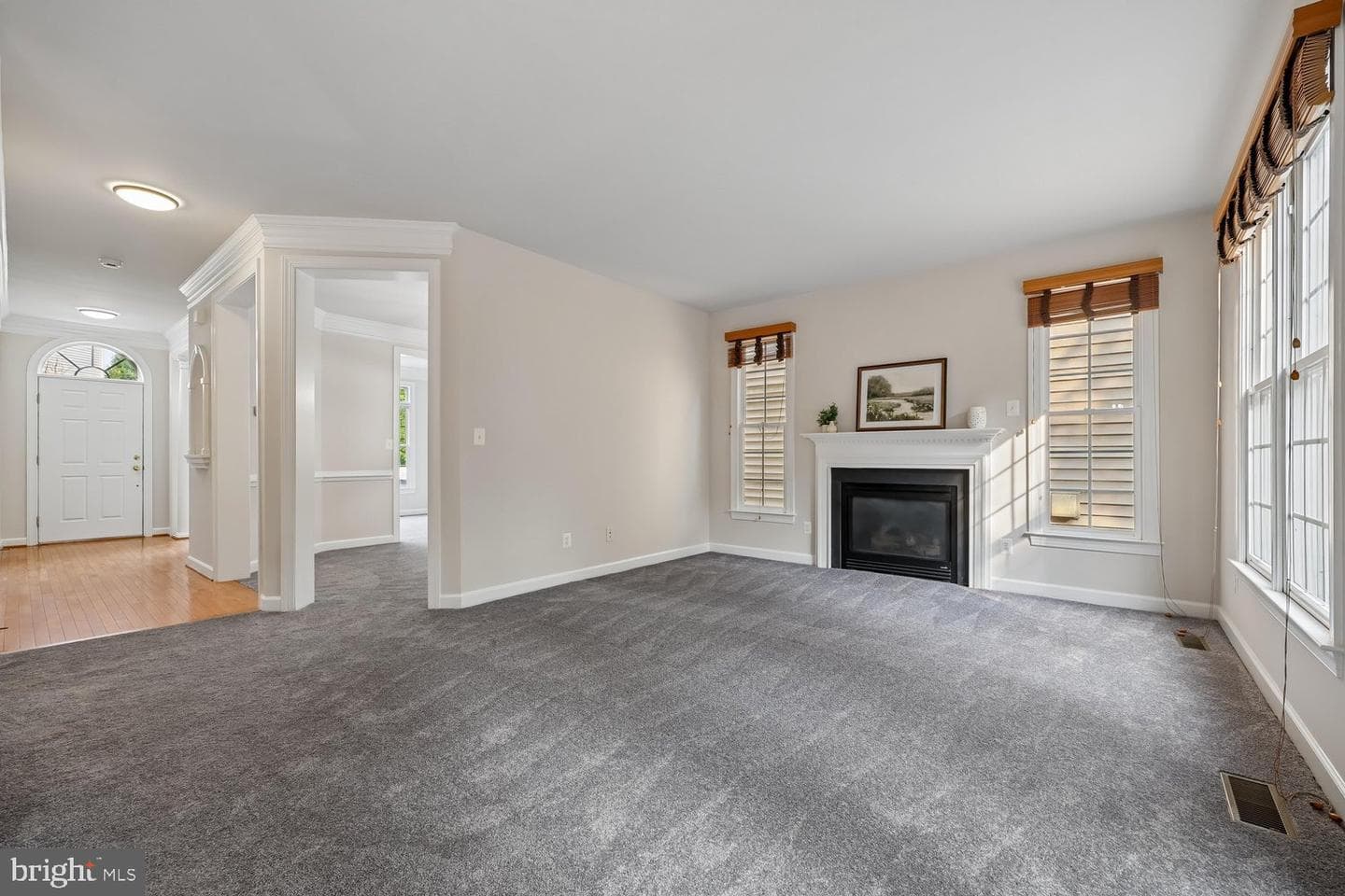 13221 Catawba Manor Way photo 18