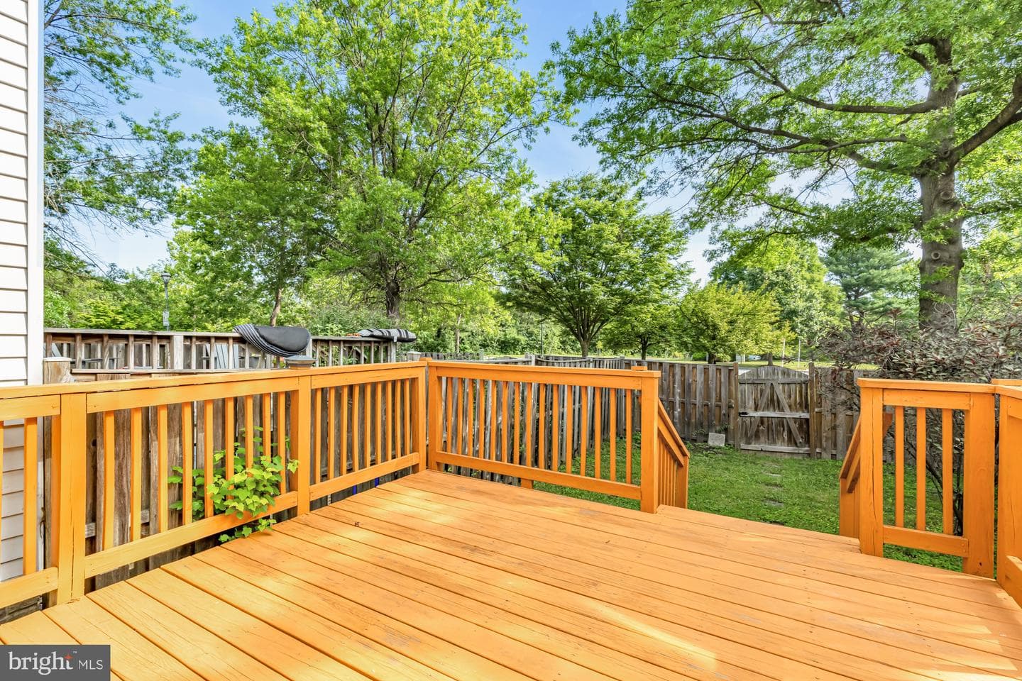 14312 Bald Hill Court photo 18