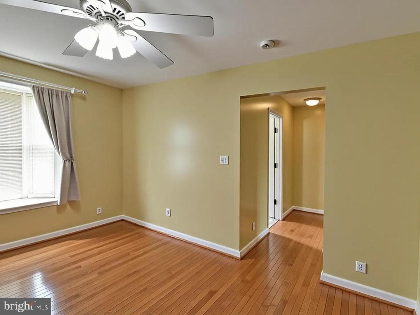 1201 Schindler Dr photo 14