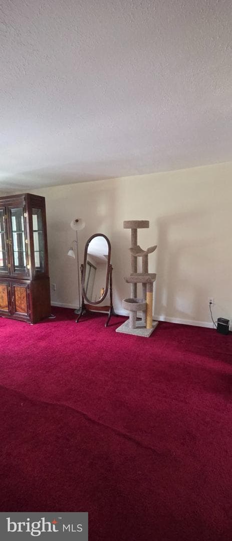506 Pickwick Village Way photo 12