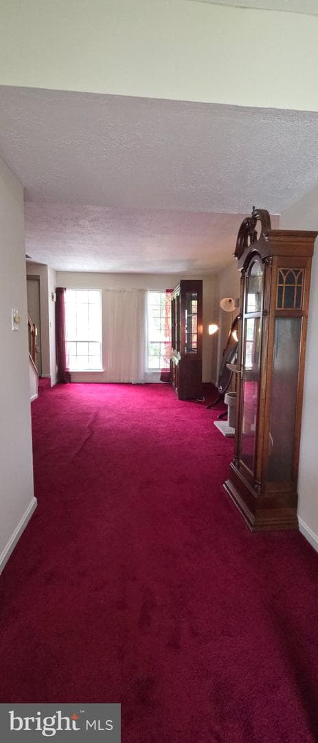 506 Pickwick Village Way photo 15