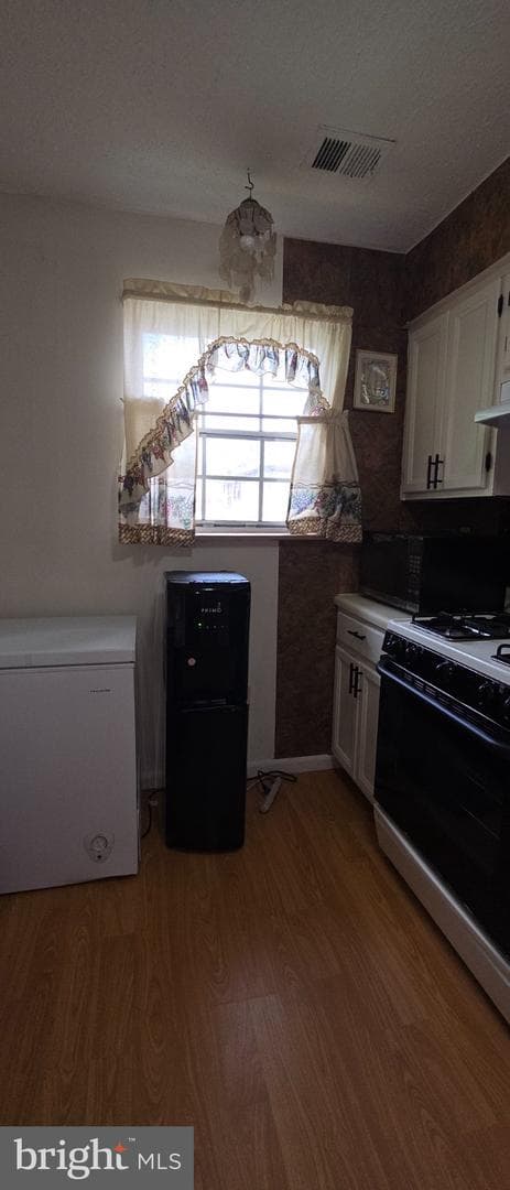 506 Pickwick Village Way photo 18