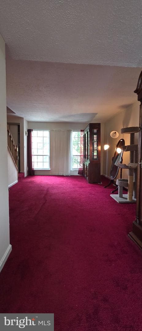 506 Pickwick Village Way photo 30