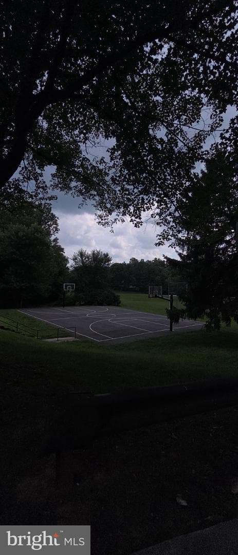 506 Pickwick Village Way photo 43