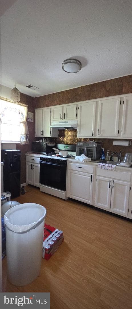 506 Pickwick Village Way photo 52