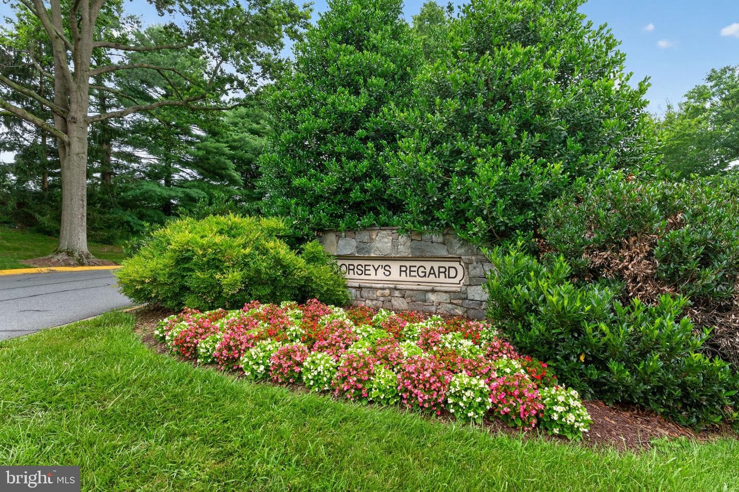20418 Shadow Oak Court photo 47