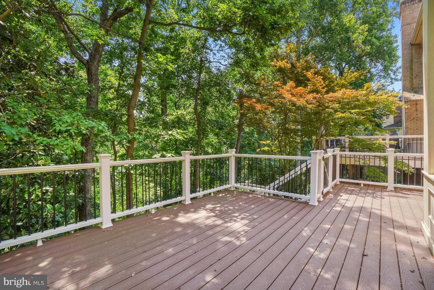 11123 Potomac Crest Drive photo 6