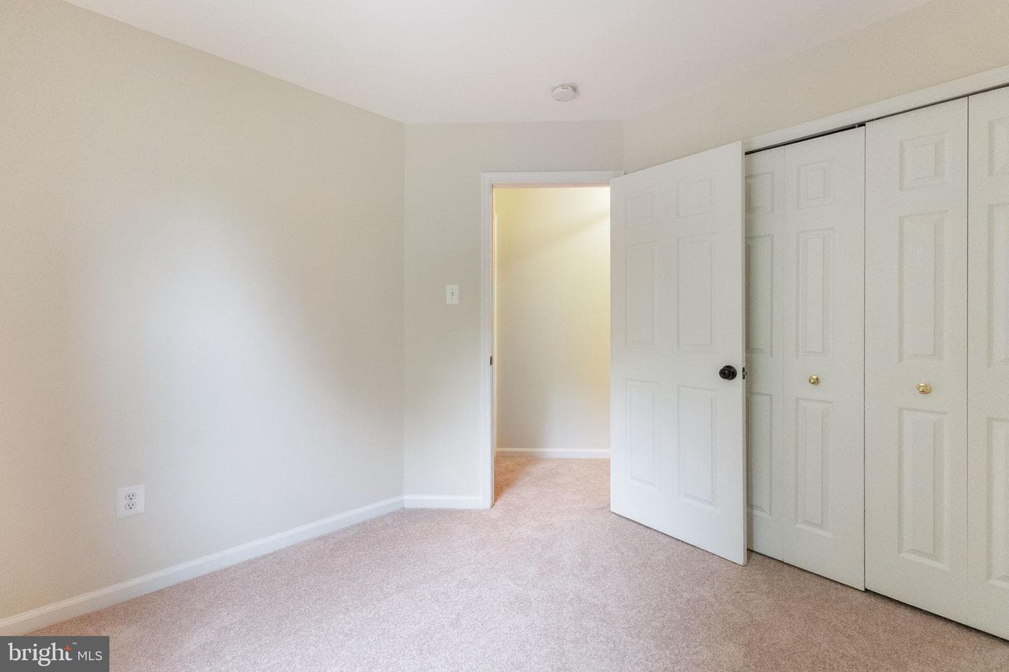 127 Autumn Wind Way photo 20