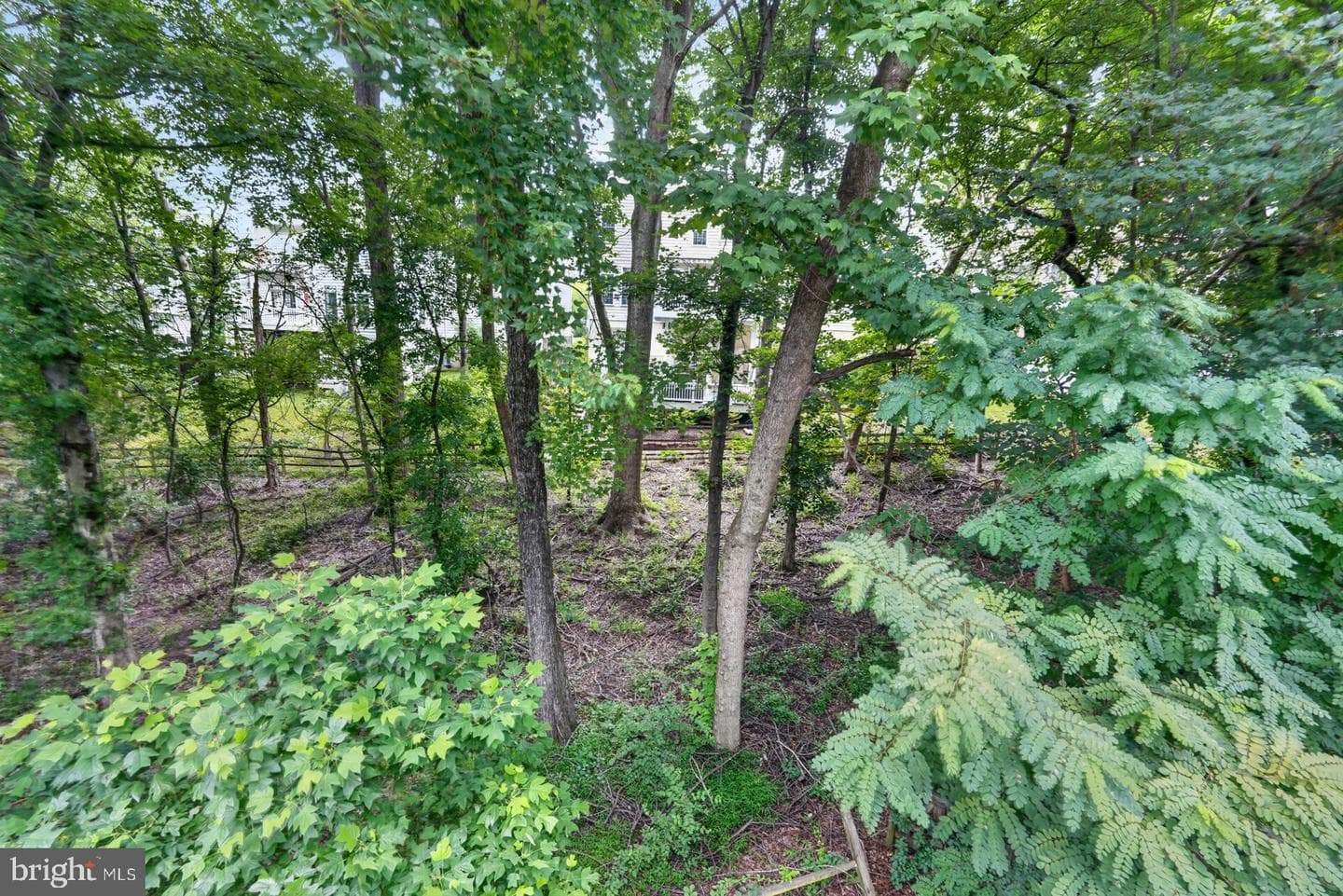 23218 Robin Song Drive photo 58