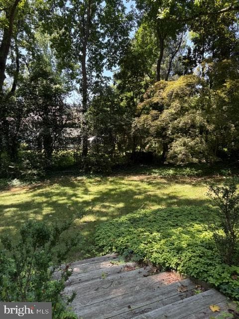 8209 Burning Tree Road photo 4