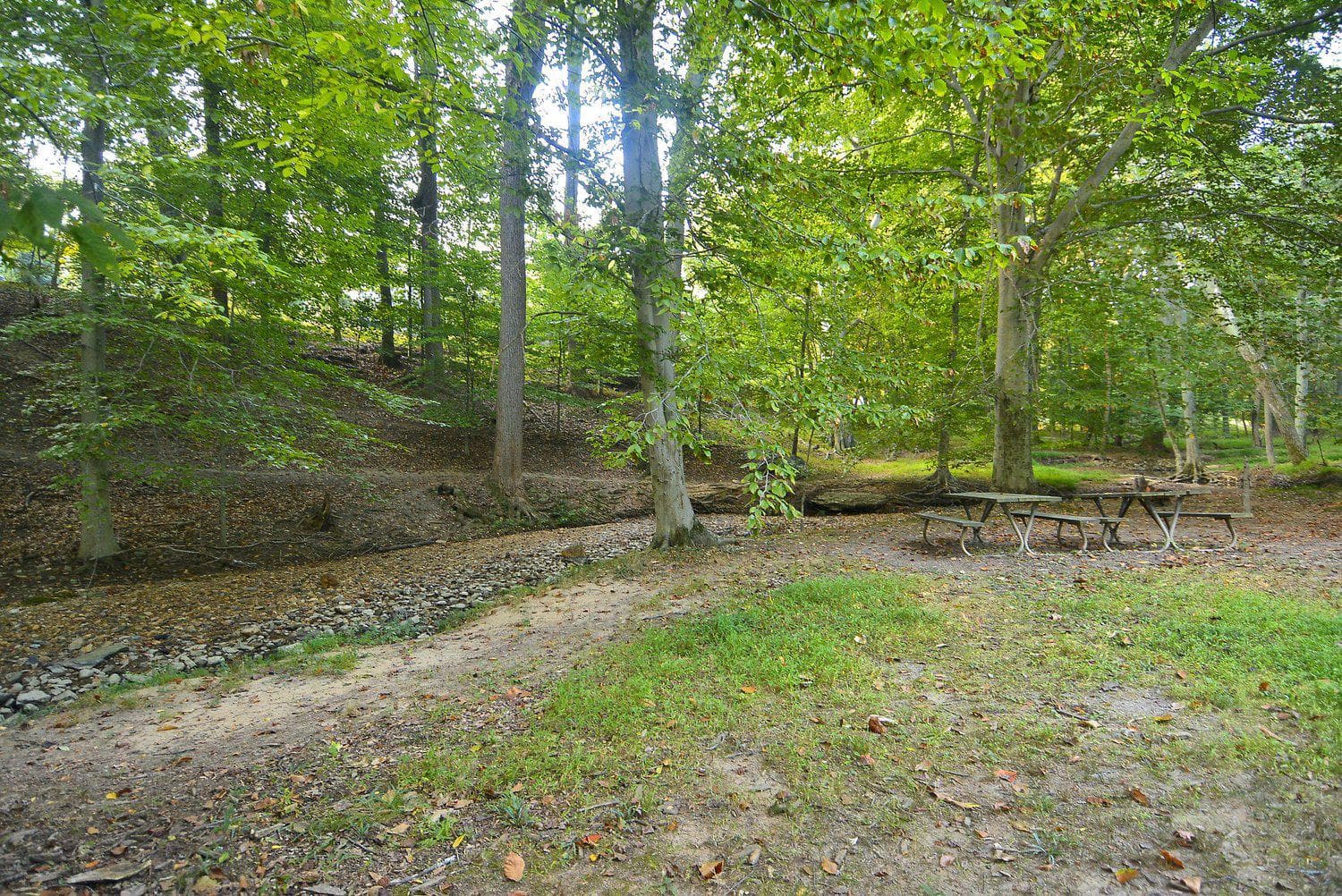 17016 George Washington Drive photo 87