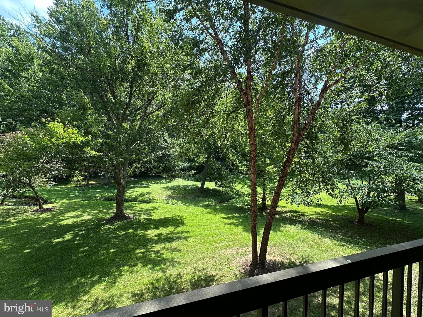 5809 Edson Lane #103 photo 7