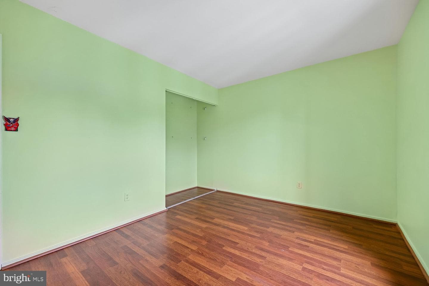 9507 Fern Hollow Way photo 47