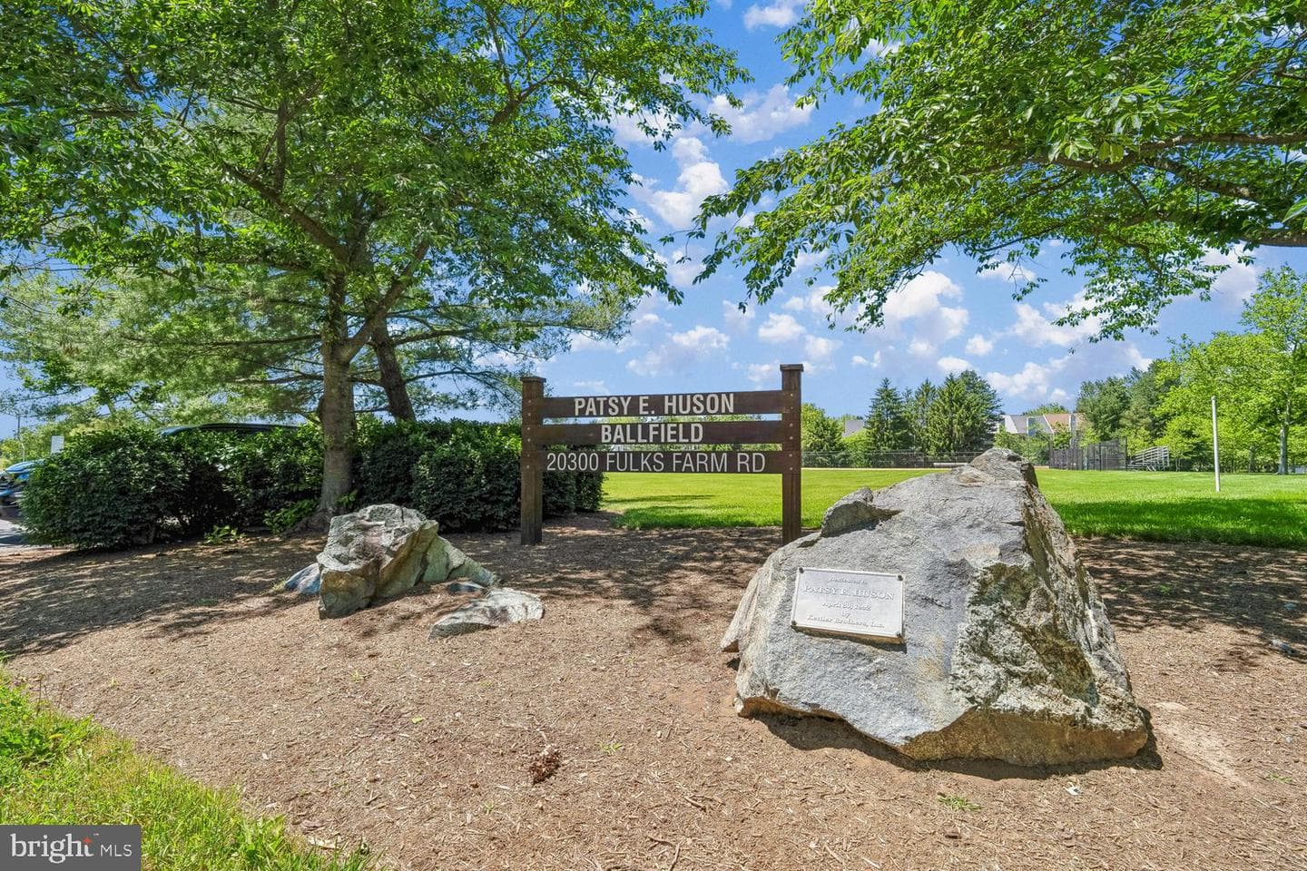 9507 Fern Hollow Way photo 81