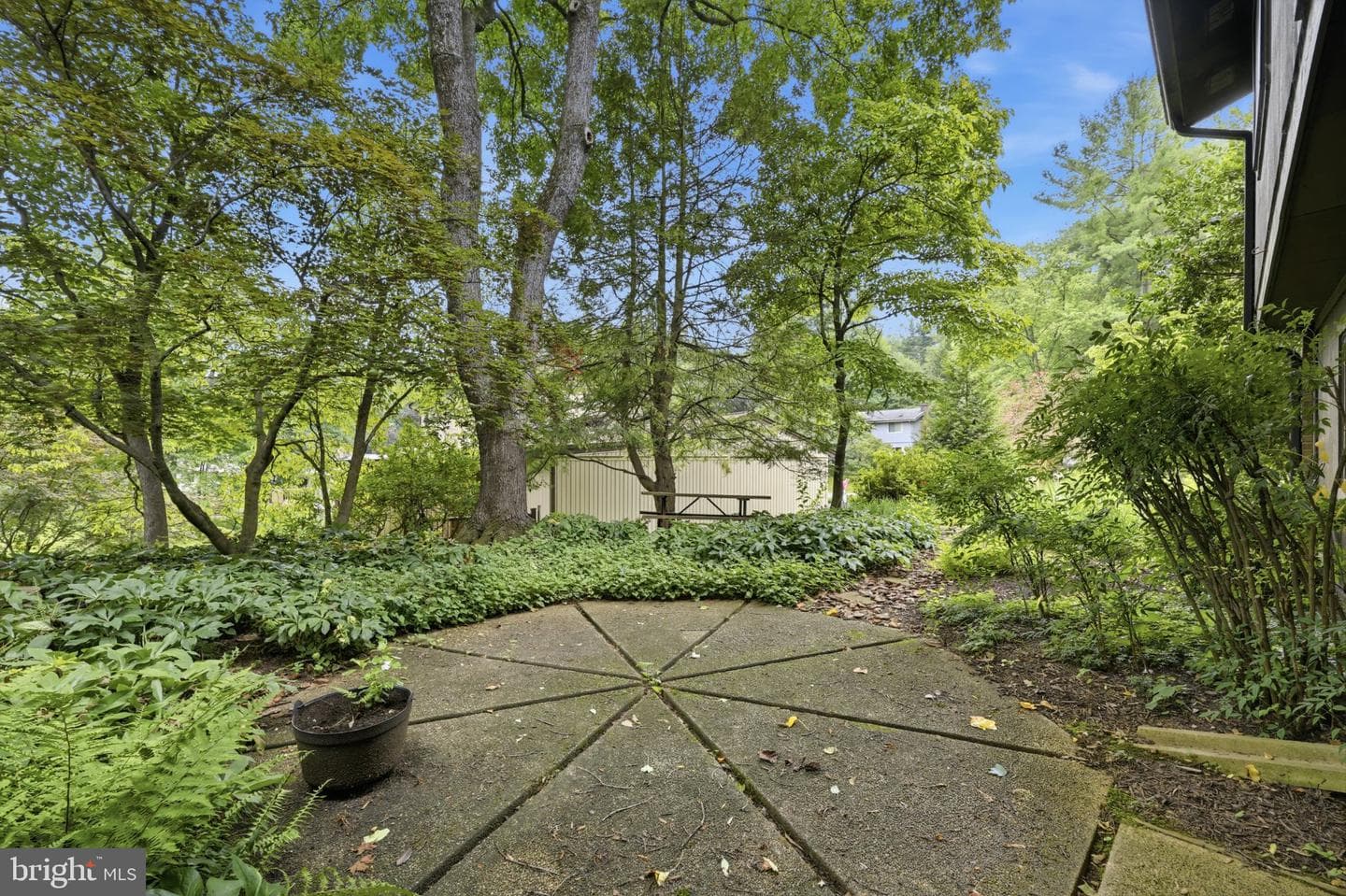 11501 Brandy Hall Lane photo 47