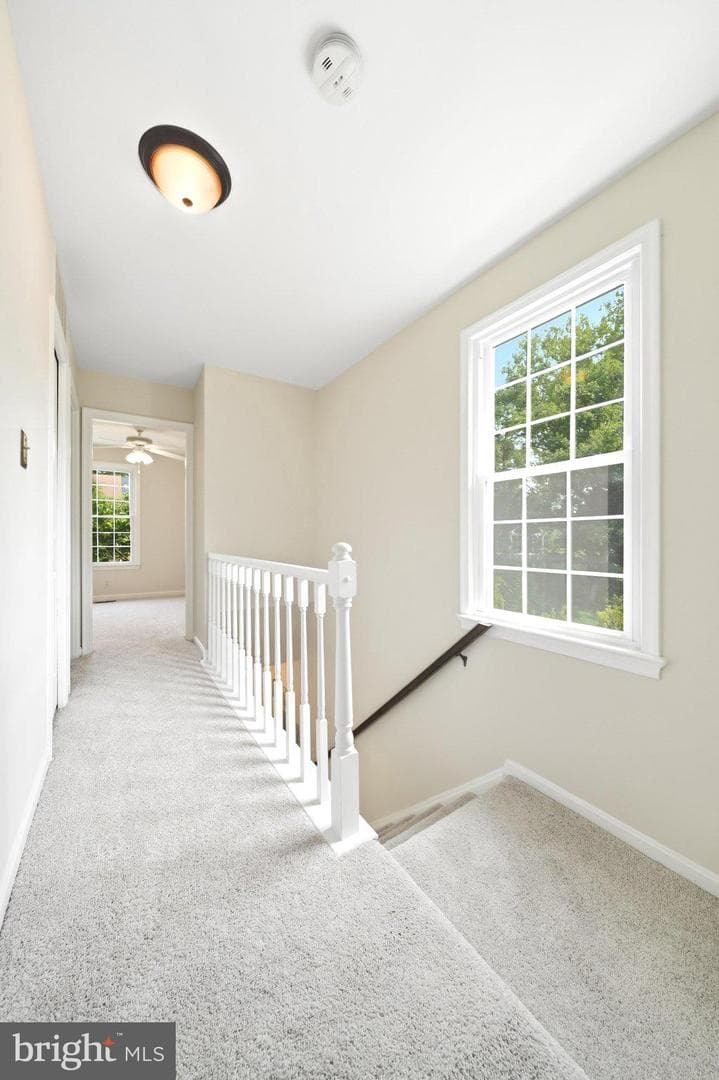 16 Ritchfield Court photo 39