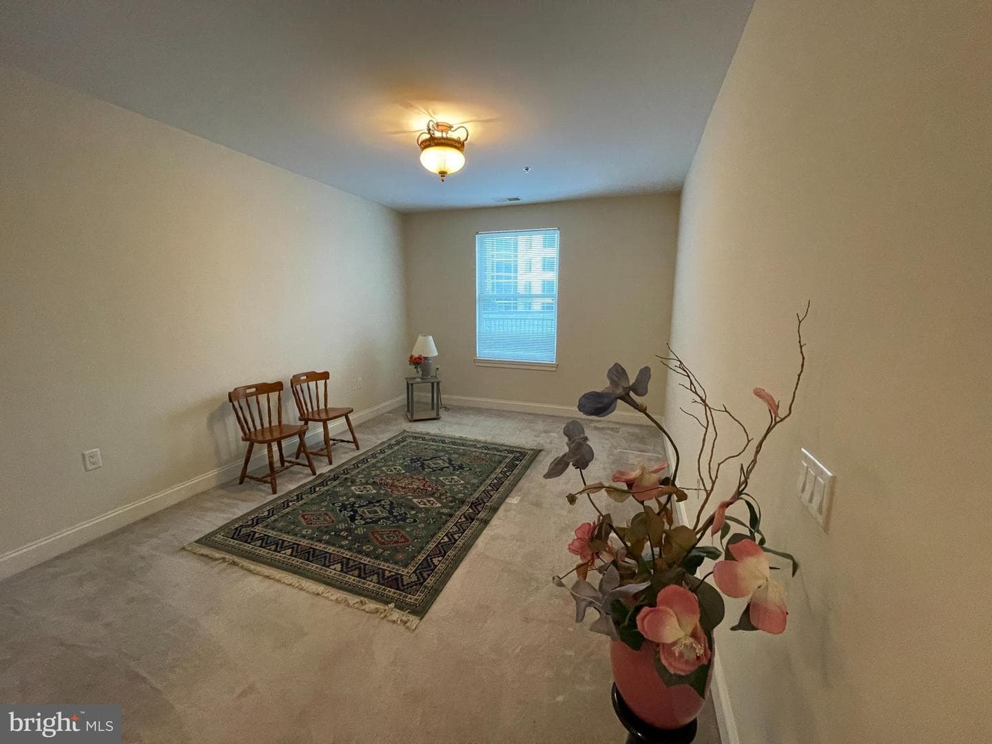 38 Maryland Avenue #224 photo 11