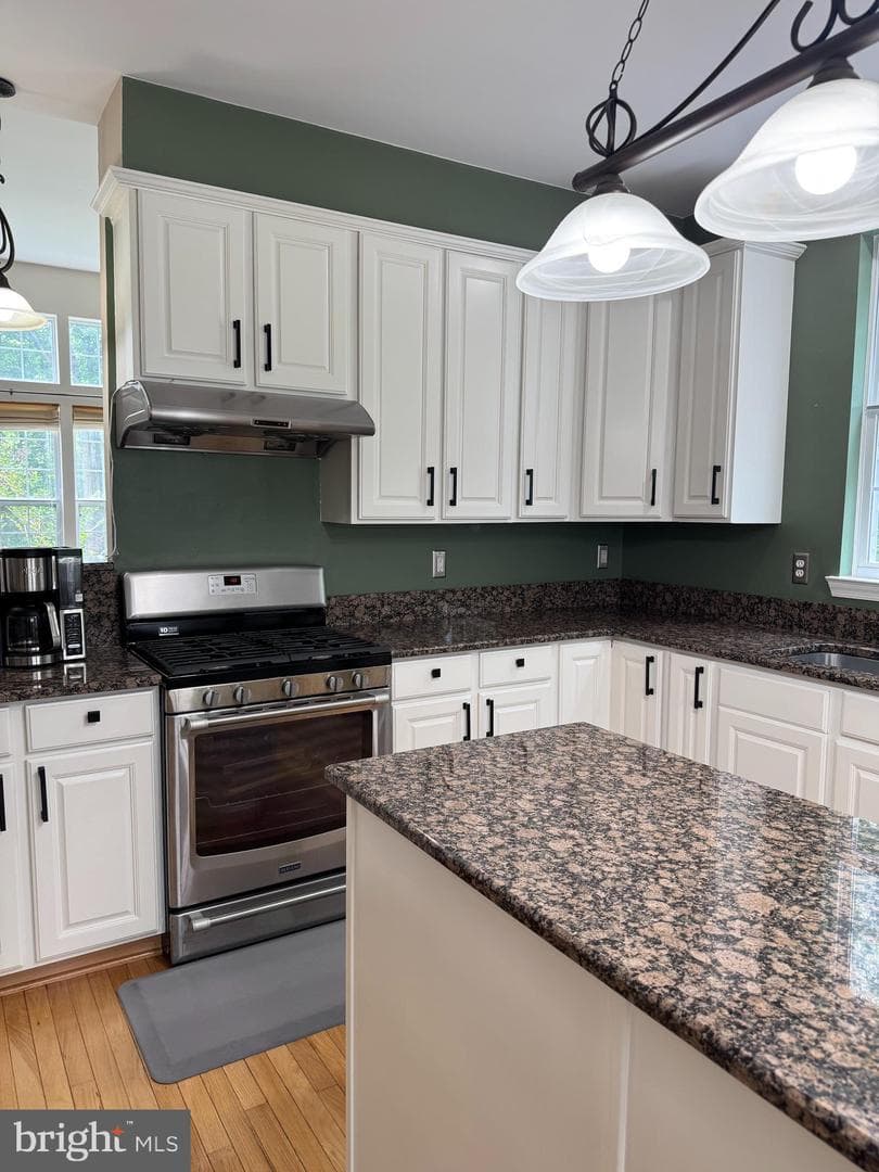 11216 Winding Brook Lane photo 10