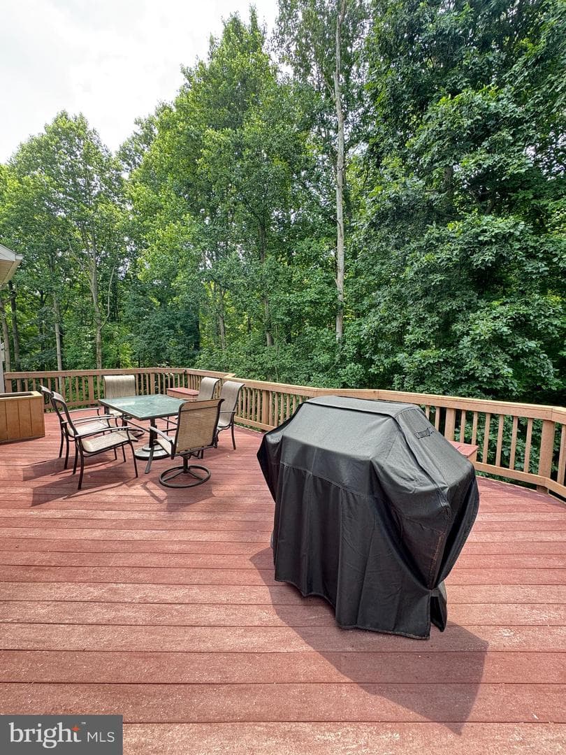 11216 Winding Brook Lane photo 13