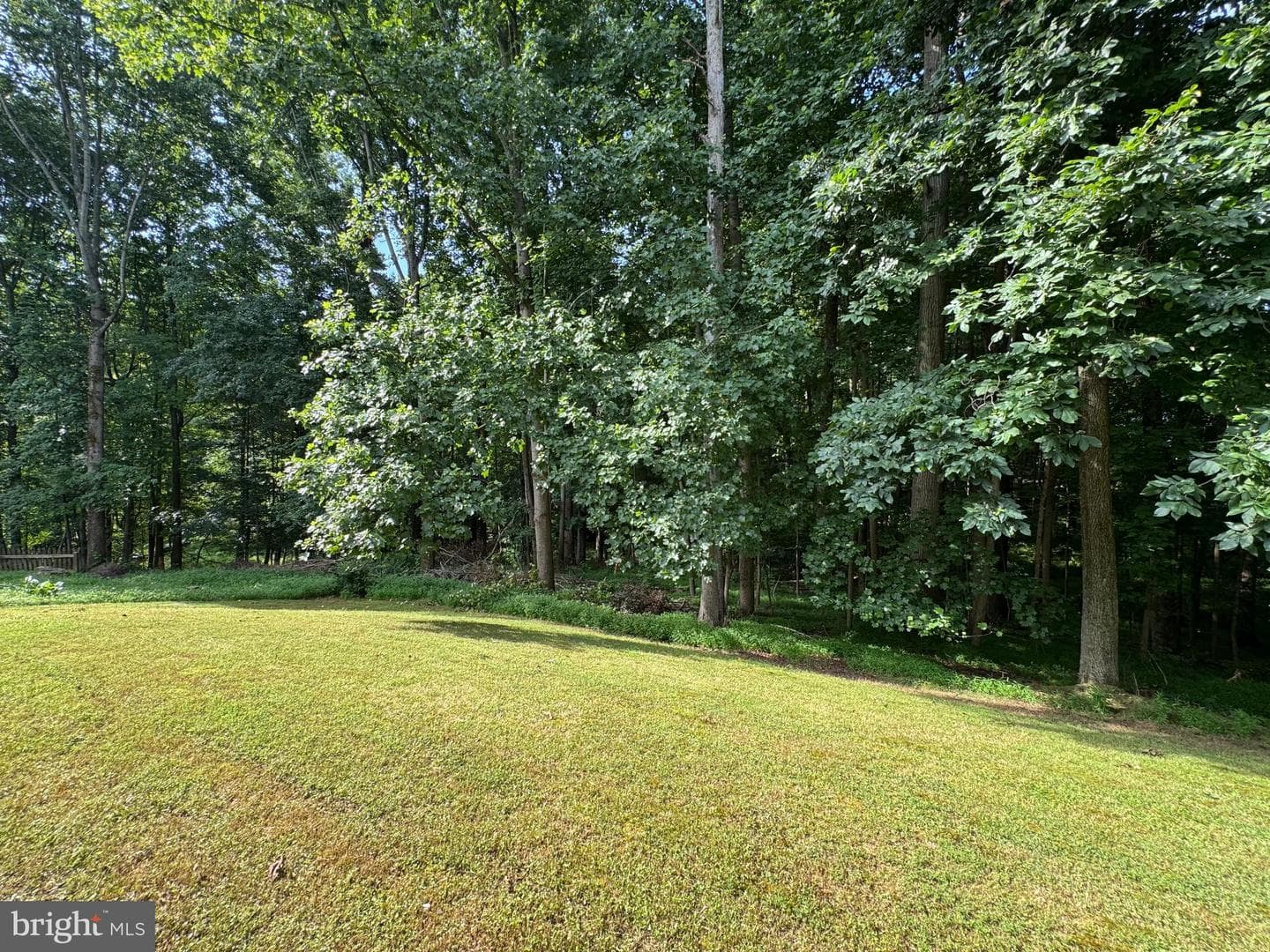 11216 Winding Brook Lane photo 51