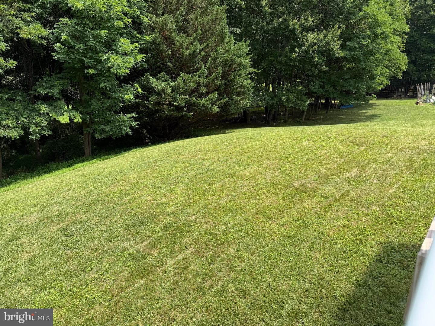 22811 Timber Creek Lane photo 3