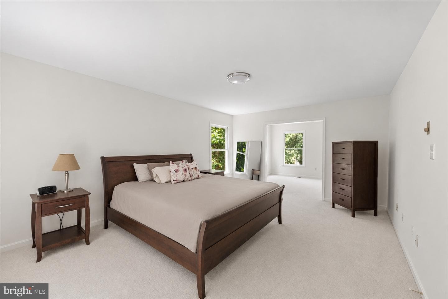 13242 Osterport Drive photo 32