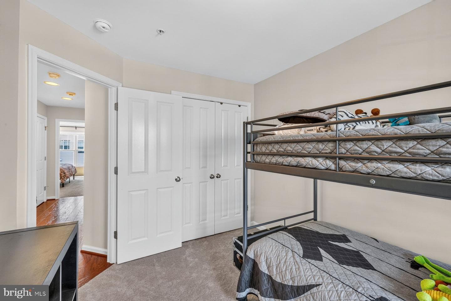 13732 Petrel Street photo 24