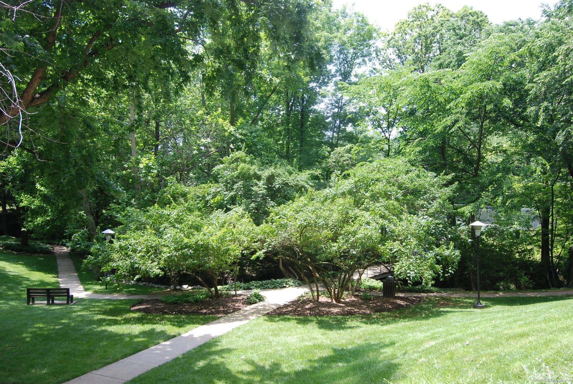 10500 Rockville Pike #122 photo 34