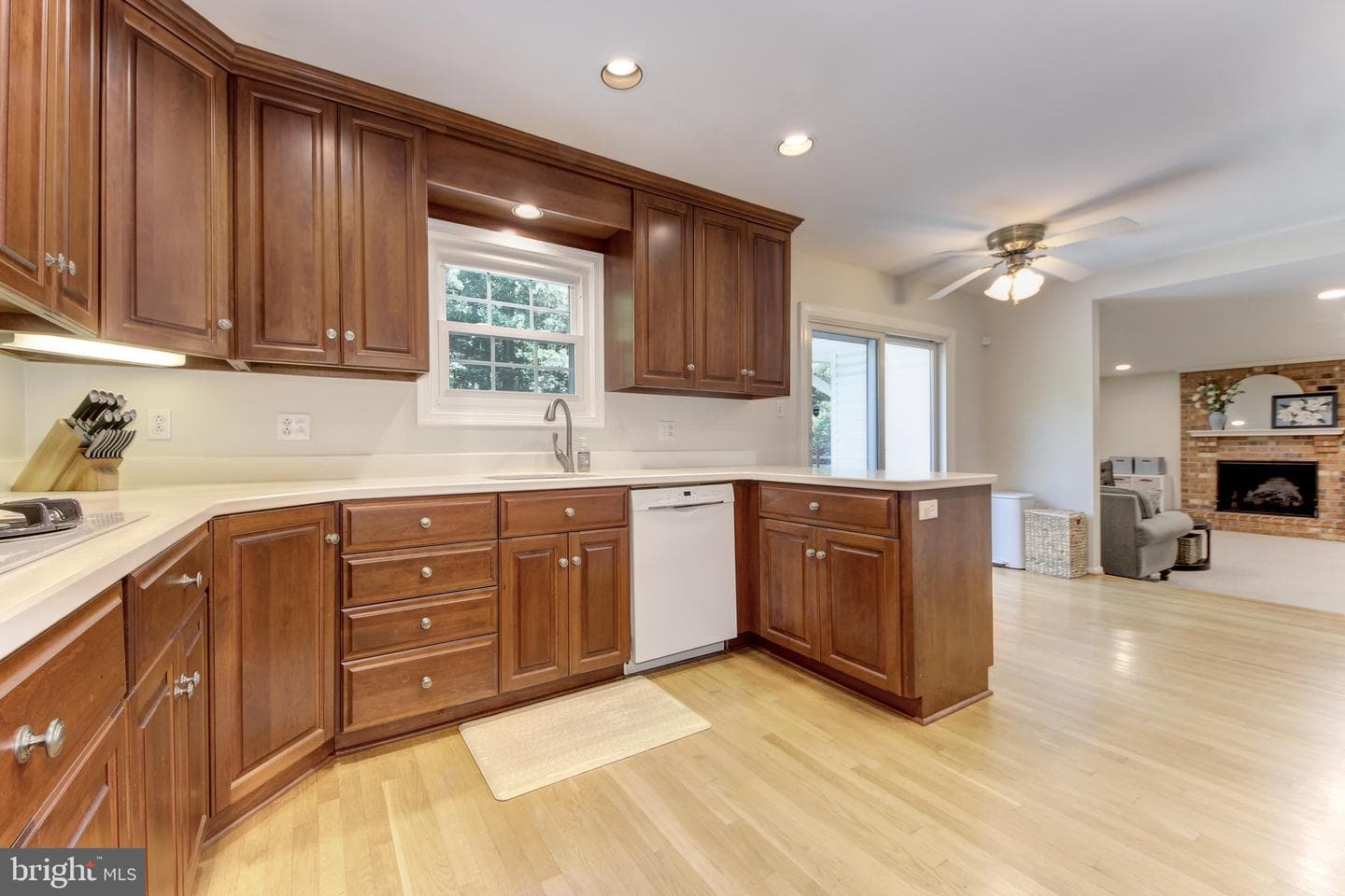 1038 Carnation Drive photo 7