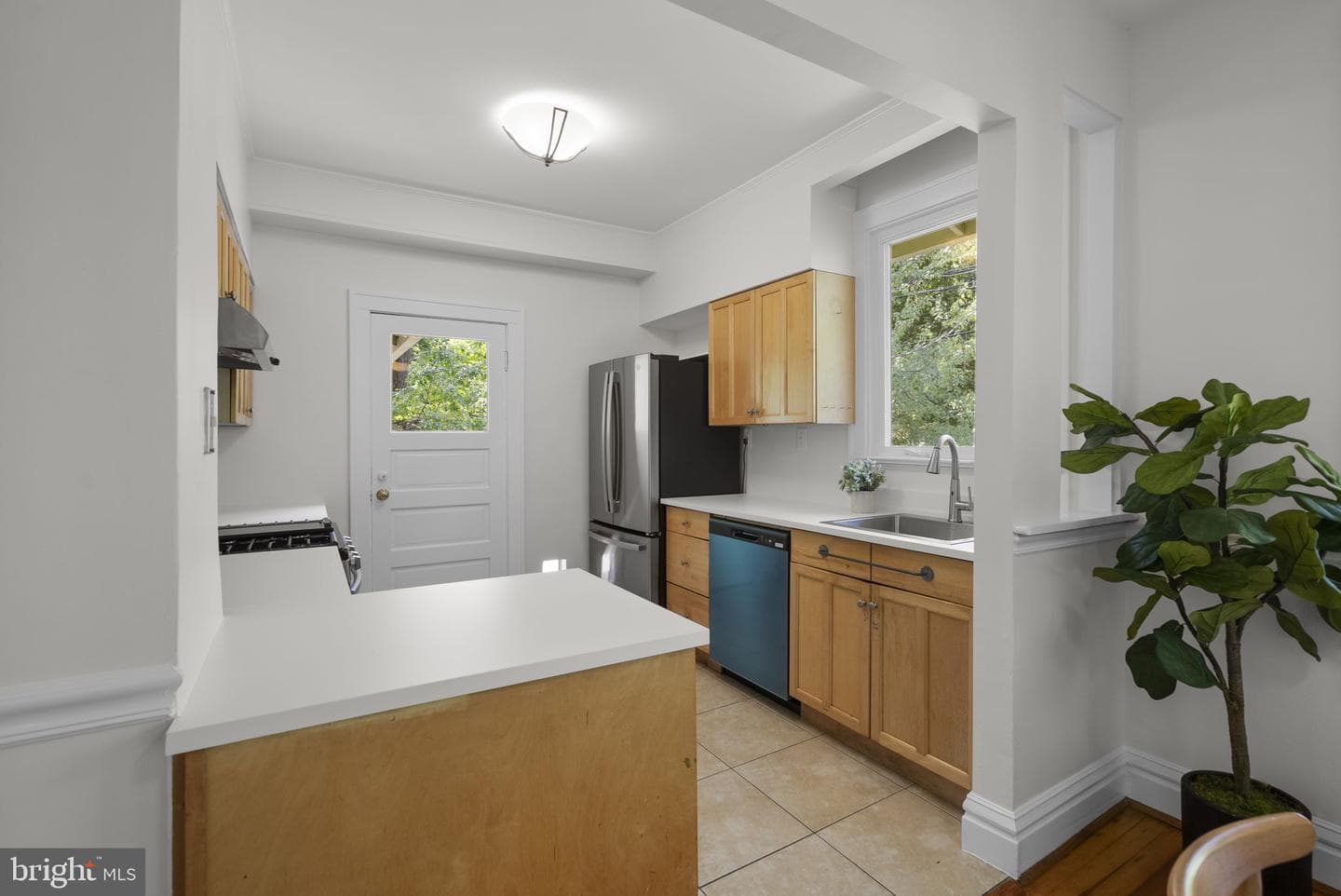 301 Elm Avenue photo 10
