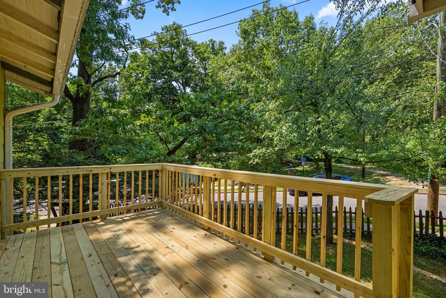 301 Elm Avenue photo 36