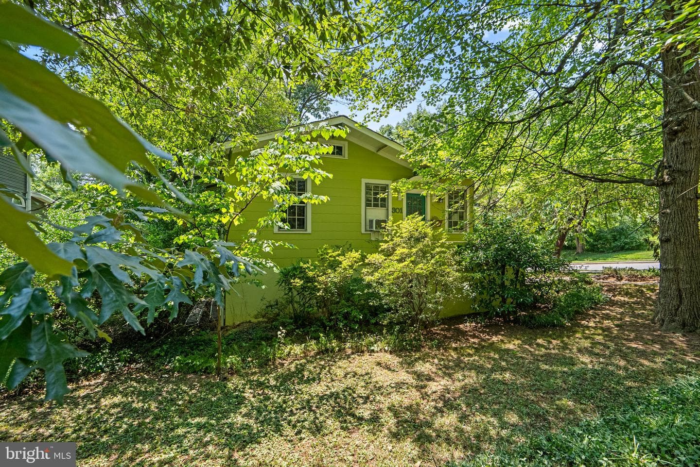 301 Elm Avenue photo 41