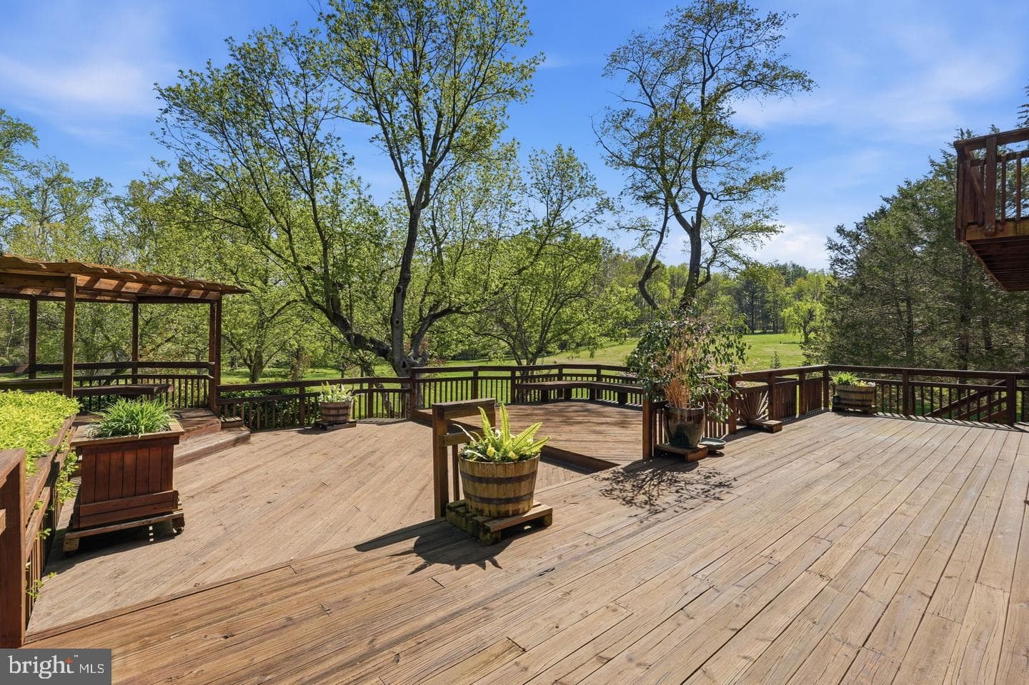 10517 Alloway Drive photo 29
