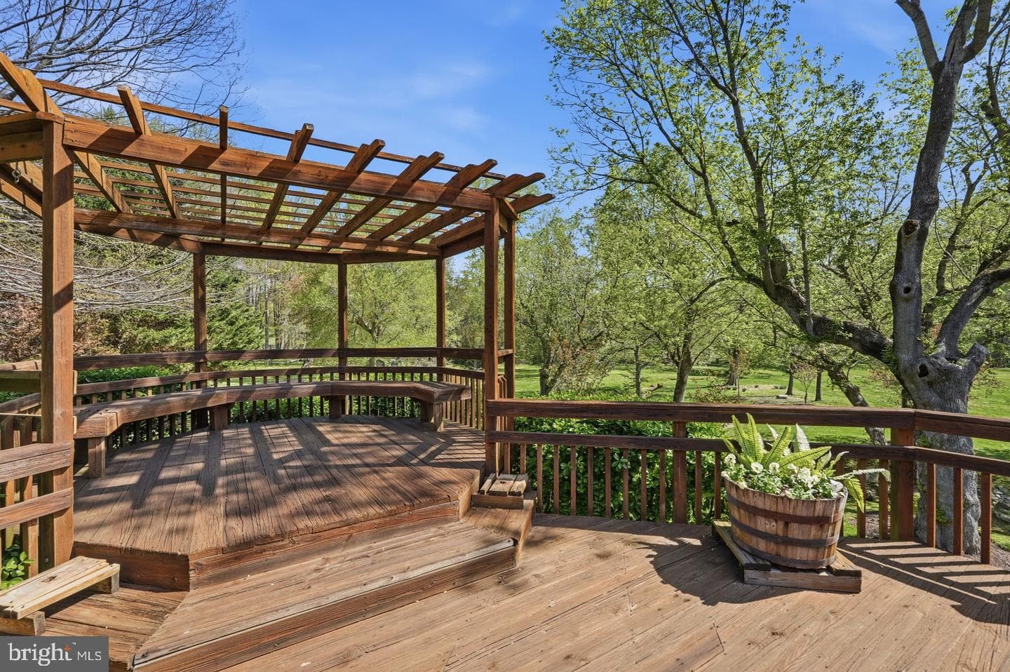 10517 Alloway Drive photo 30