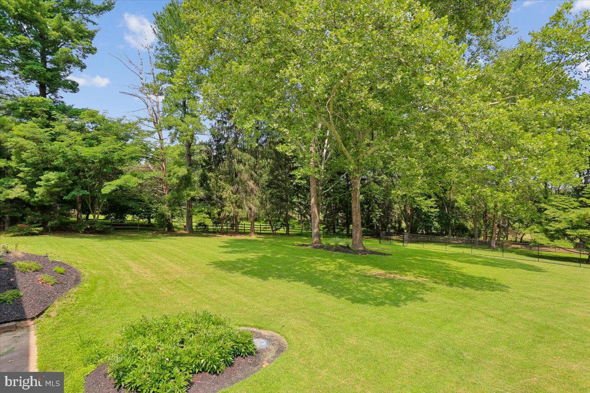 14811 Springfield Road photo 82
