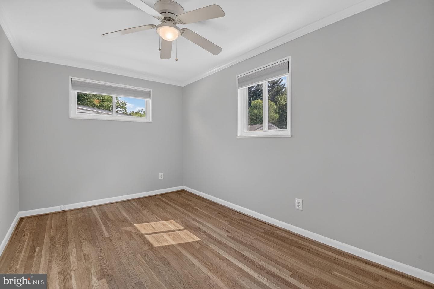 11302 Schuylkill Road photo 16