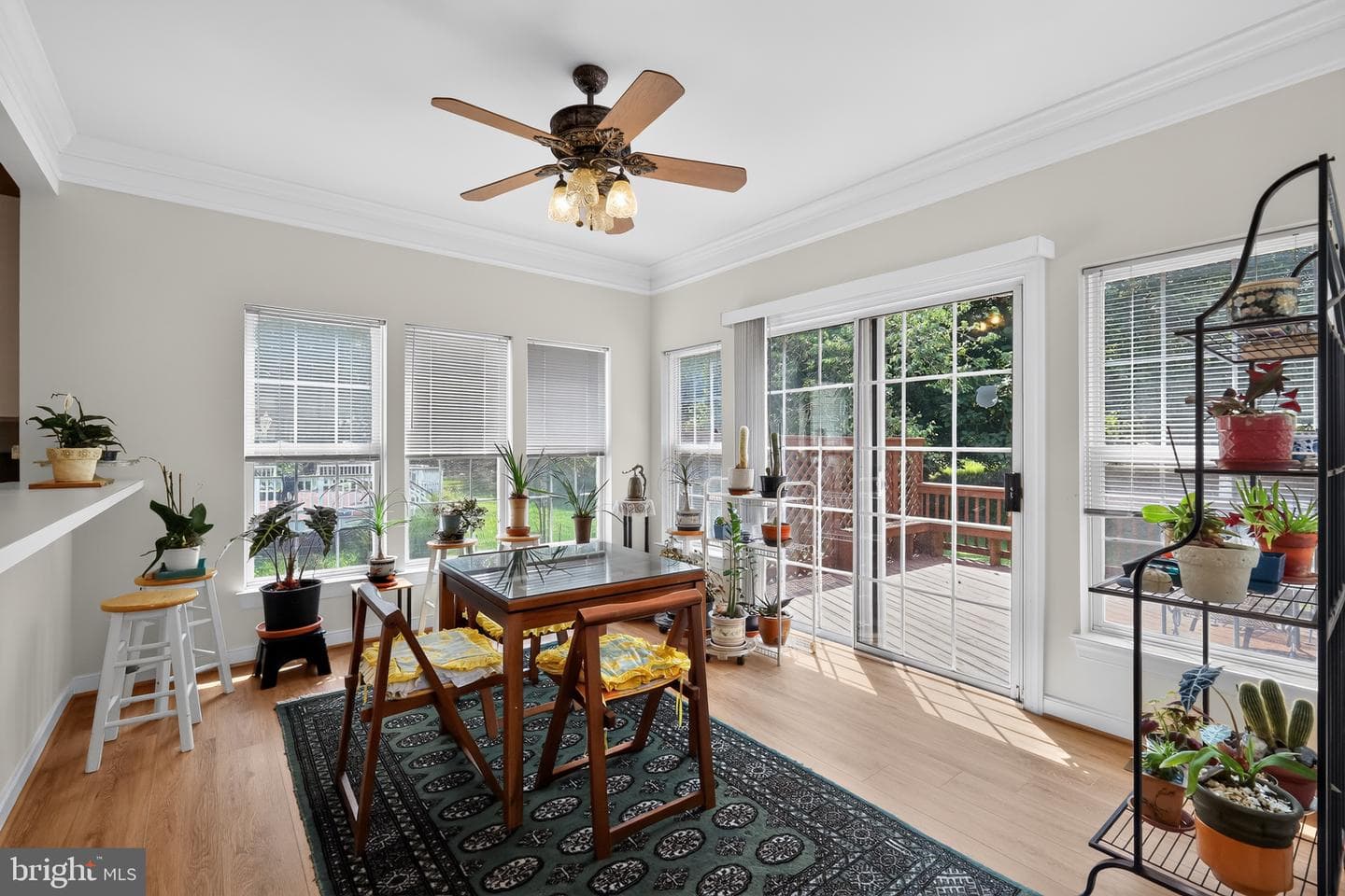 14209 Royal Forest Lane photo 12